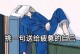我渴望长大——一个梦想的故事（坚持不懈，追求梦想）