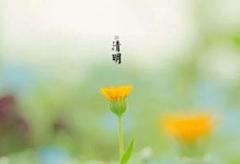回忆里的快乐时光（思念亲人的勇气与坚持）