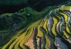 月亮4——我和它的故事