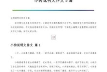 小狗“胖子”的成长之路（小狗“胖子”的成长之路）
