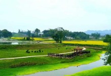 寻找“双赢”的道路（绿水青山与金山银山的交汇点）