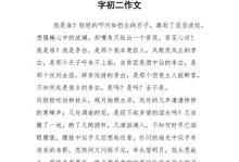 面对我流泪了（一个关于悲伤、成长和勇气的故事）