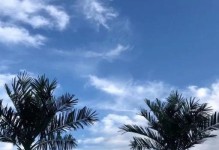 善意的句子（一个陌生人的援手）