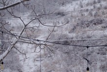 雪中初遇（一场意外的相遇）