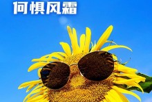 心之向阳——一个勇敢面对悲凉的女孩（探寻内心深处的力量）
