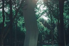 希望的力量（一个孤独少年的成长之路）