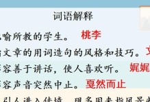 难忘的奇遇之旅——与大象共舞（一个人的旅行，却与一只大象成了好友）