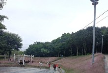返璞归真——我和大自然的故事（一场与野外的邂逅）