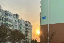 坚韧的灵魂与勇气的抉择（坚韧的灵魂与勇气的抉择）