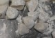 尊重别人（一次偶然的相遇）