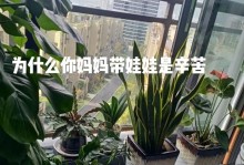 请母亲享福（一次完美的旅行）