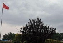 《点滴汗水与泪水》