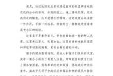 小巷子的故事（被遗忘的美丽）