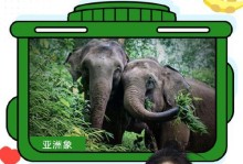 共同守护大自然（一个小镇的环保故事）