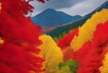 心中风景（在人生的路途上，我遇到了自己）
