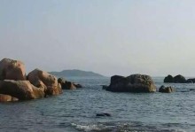 海的心跳（一个男孩的成长之旅）