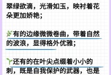根脉相连（一个女孩的植物成长记）