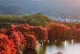 探秘人间美景——一次关于值得观赏的旅行（追寻不同的美，开启不一样的人生）