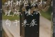 宽容的力量（以那一刻，我读懂了宽容）