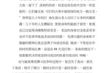 执着不懈的追求（一颗不屈的心）