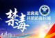 小学生的禁毒之路