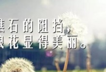 一颗积极向上的心（困境中的坚持与拼搏）