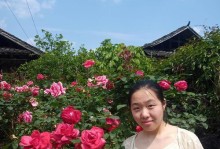 幸福的源泉（真爱无价）