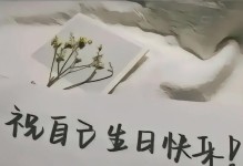 追寻梦想的女孩（她勇敢地面对生命的一切）