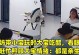 母亲的眼神（爱的呼唤）