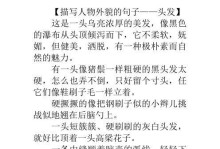 命运的转折点（描写人物特点的小故事）