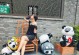 丝绸路上的故事（探寻记忆中的风景）