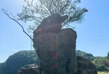 我的眼中的大自然