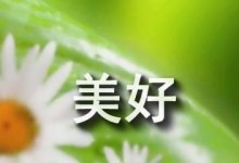 美好回忆|记录人生