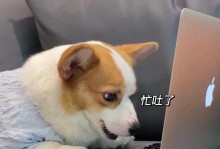 勇往直前，战胜困难（两个坚定的灵魂）