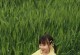 小芳的古灵精怪（一个充满想象力的妹妹）