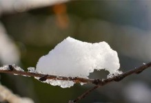 雪精灵的舞蹈（神秘而美丽的冬日传说）