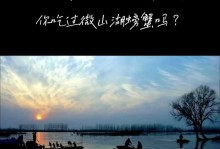 绿意盎然，生机勃勃（探寻生命力量，感受自然魅力）