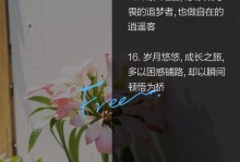 阳光照进心房（少年的成长之路）