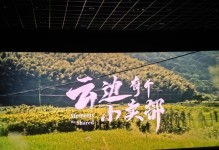 心灵之光（困境中的寻找）