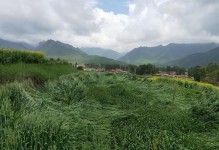 恍若千秋梦（穿越古代寻找真爱）