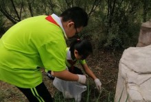 爱护大自然，守护美丽家园（一只蚂蚁的自然保护之旅）