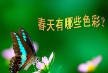 乡村里的故事（乡村里的故事）