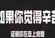 努力是一杯良药（一个人的奋斗之路）