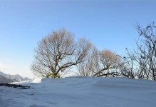 《冬天的第一场雪》（雪花落下的那一刻，我们都变得温暖）