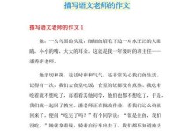 老师，永远的光芒（一位语文老师的故事）