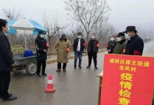 同心抗击疫情（一个偏远小镇的抗疫之战）