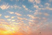 在夏日里寻找美丽风景（感受大自然的生机与活力）