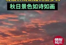 绚丽多彩的花海