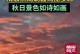 绚丽多彩的花海