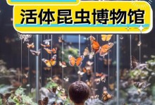 探秘昆虫王国（一个小小的观察者的奇妙冒险）